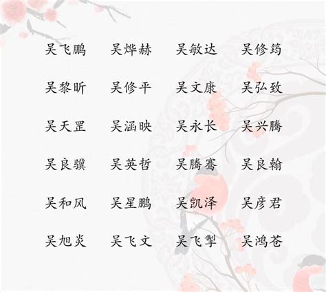 姓吳的名字|姓吴男孩名字大全